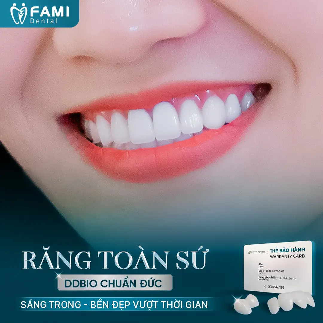 Mẫu răng + sứ DDBIO Mẫu răng sứ DDBIO